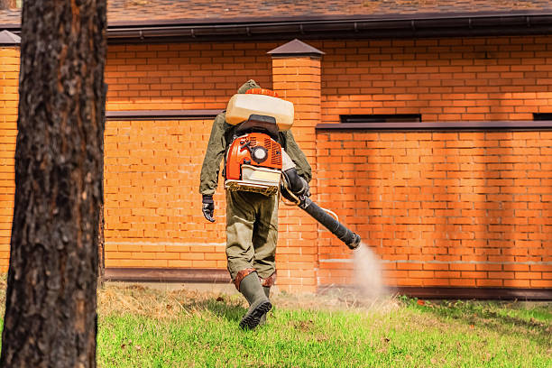 Trusted Mosquito Control service in Rifle, CO - Nex Pest Control